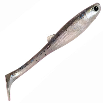 Sexy Baitfish