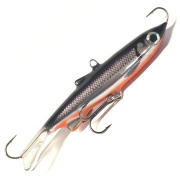 Muikku, oranssi vatsa