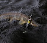 Kuore Bigfoot 22 cm jigi