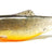 Orka Shad 7cm jigi 5kpl/pkt - Happy Angler