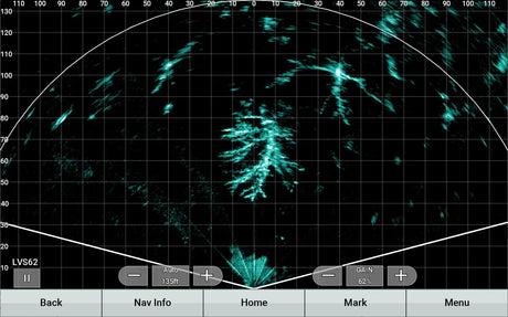 Garmin Panoptix LiveScope XR LVS62 anturi - Happy Angler