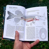 Sakke Yrjölä Suomen Kalalajien Tunnistusopas