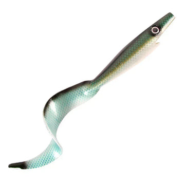 Baltic Herring