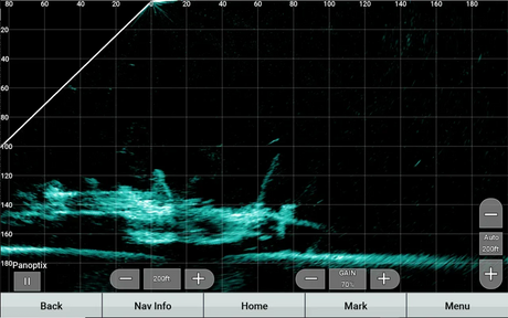 Garmin Panoptix LiveScope XR LVS62 anturi - Happy Angler