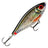 Rapala X-Rap Haku 14 cm jerkki - Happy Angler