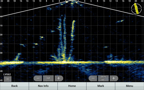 Garmin Panoptix LiveScope XR LVS62 anturi - Happy Angler