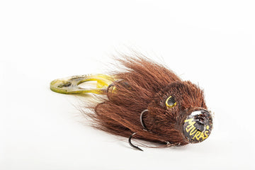 Spotted Bullhead
