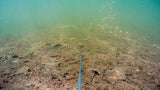 Westin Bottom Fishing Kit for Escape Cam - Happy Angler