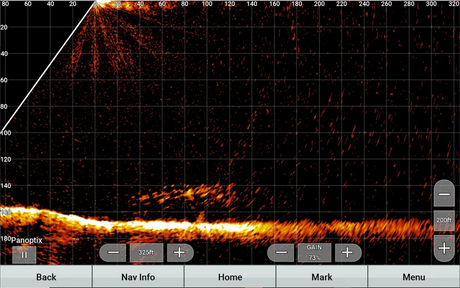 Garmin Panoptix LiveScope XR LVS62 anturi - Happy Angler