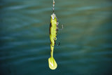 Lucky John Kubira Swim Shad 9" kalajigi + stinger - Happy Angler