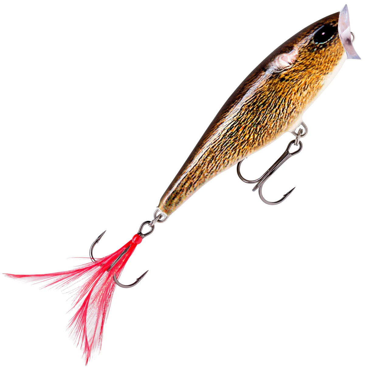 Rapala Skitter Pop 7 cm popperi - Happy Angler