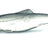Orka Shad 9 cm jigi 5kpl/pkt - Happy Angler