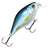 Mikado Fishunter Bold Head 4 cm vaappu - Happy Angler