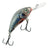 Salmo Rattlin´ Hornet 5.5F 5,5 cm vaappu - Happy Angler