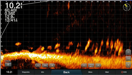 Garmin LiveScope Plus LVS34 anturi - Happy Angler