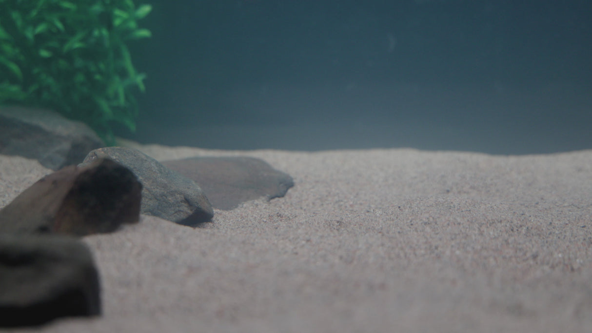 Kuore Torpedo 9 cm jigi 3 kpl/pkt