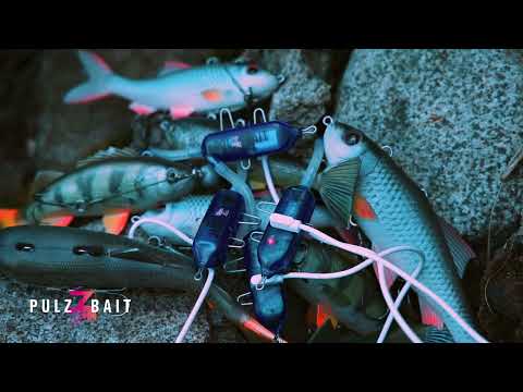 PulzBait Rigz Spinning 15 cm 2 kpl/pkt