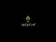 Westin BullTeez Curltail 21 cm jigi
