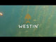 Westin Bassbite Squarebill 7 cm vaappu
