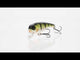 Westin Fatbite Crankbait 8 cm vaappu