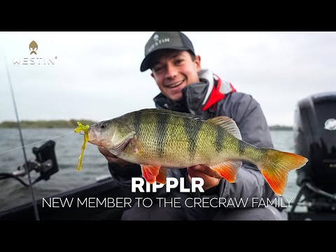 Westin CreCraw Ripplr 9,5 cm jigi 4 kpl/pkt
