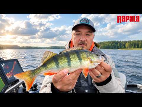 Rapala CrushCity The Mayor 7,5 cm jigi 4 kpl/pkt