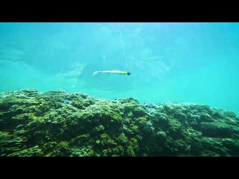 Westin TwinTeez Pelagic V-Tail 20 cm jigi 2 kpl/pkt