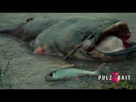 PulzBait Rigz Spinning 15 cm 2 kpl/pkt