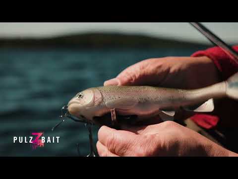 PulzBait Rigz Spinning 15 cm 2 kpl/pkt