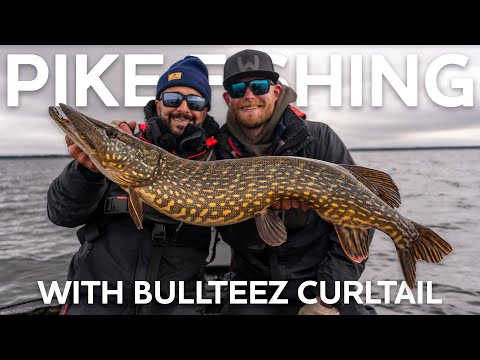 Westin BullTeez Curltail 21 cm jigi