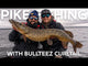 Westin BullTeez Curltail 21 cm jigi